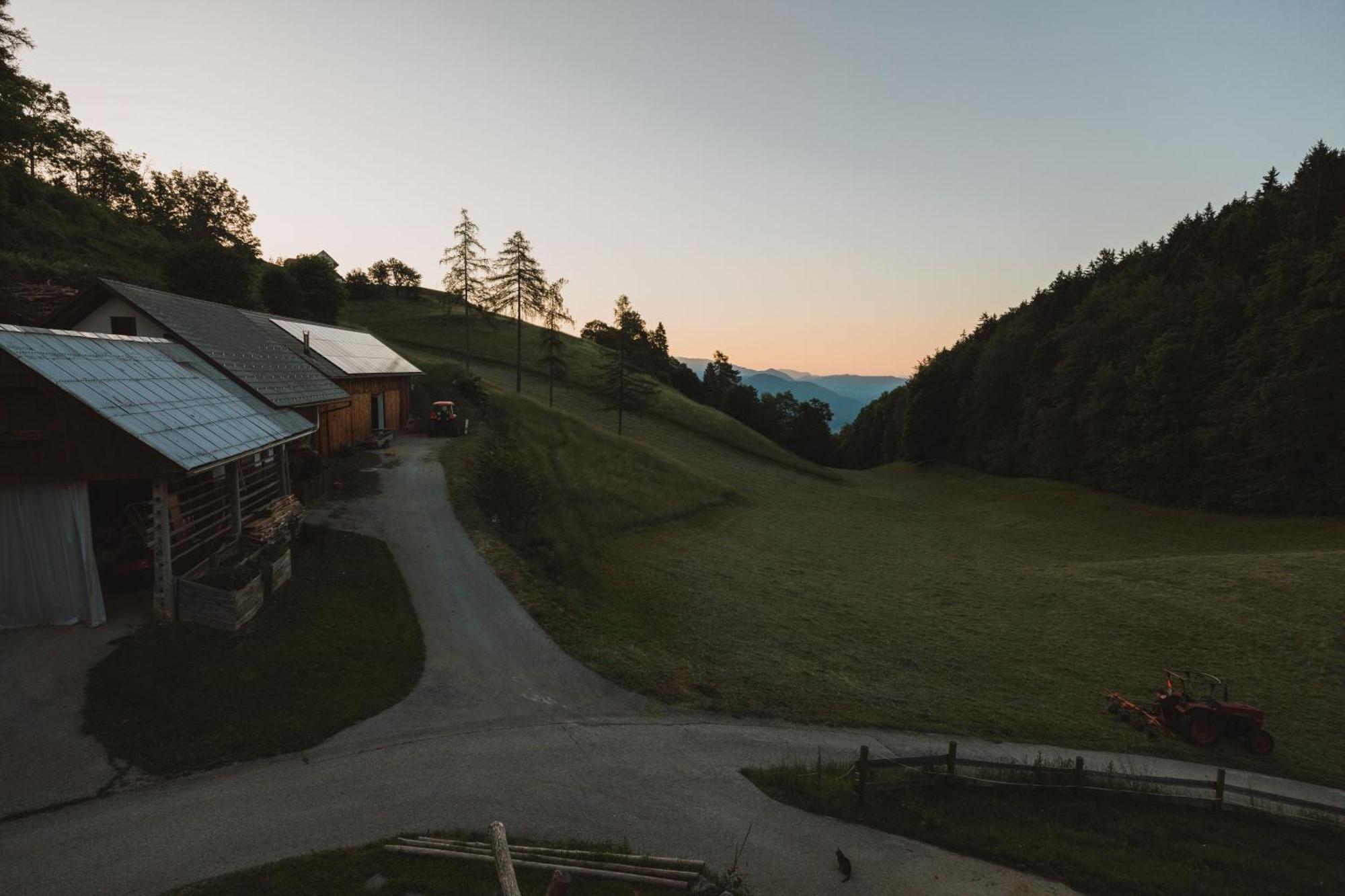 Tourist Farm Pr'Dovar Церклье-на-Гореньскем Экстерьер фото