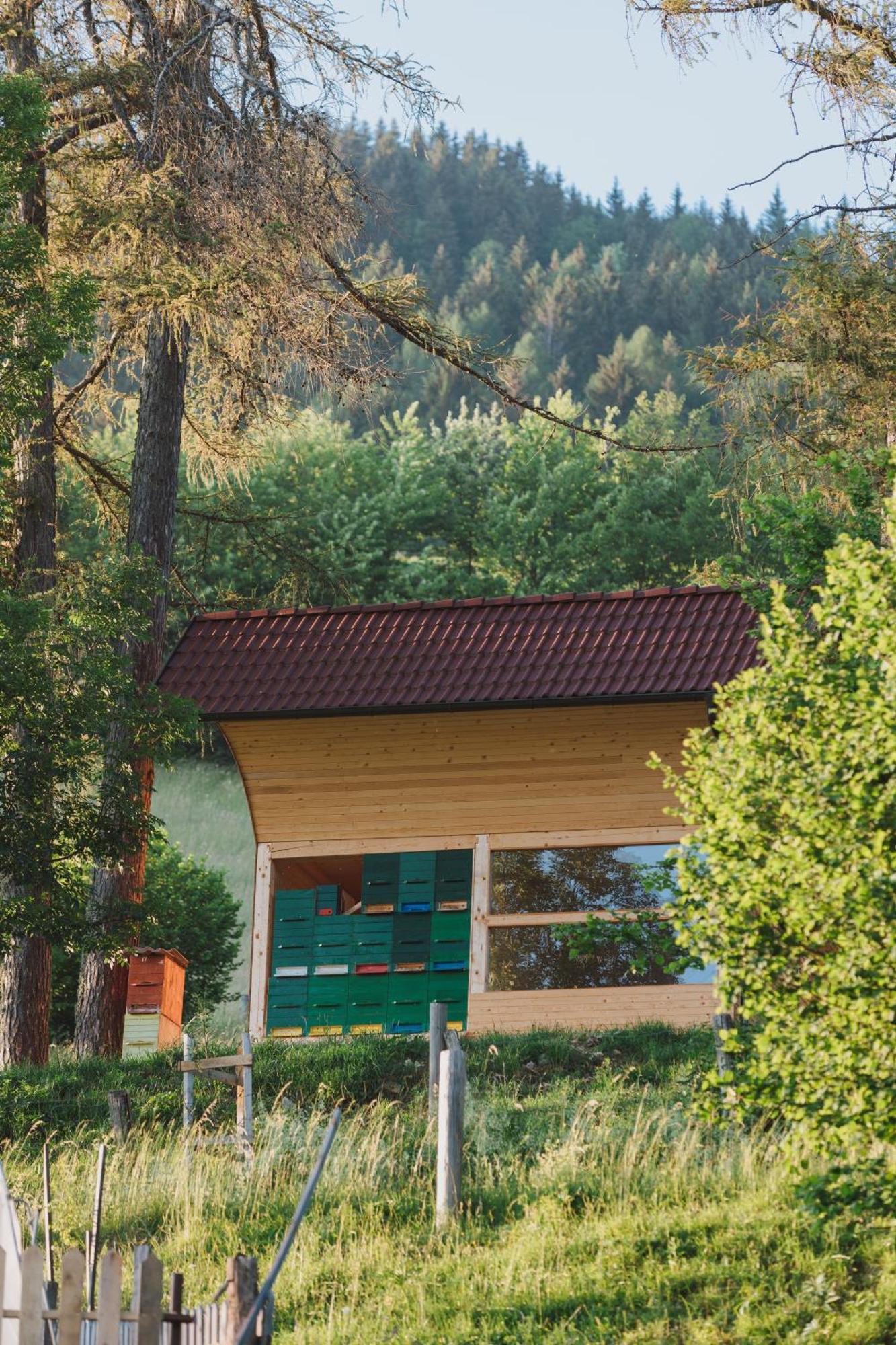 Tourist Farm Pr'Dovar Церклье-на-Гореньскем Экстерьер фото